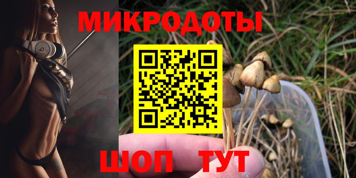 Галлюциногенные грибы Psilocybine cubensis  Вход с VPN  Новодвинск 